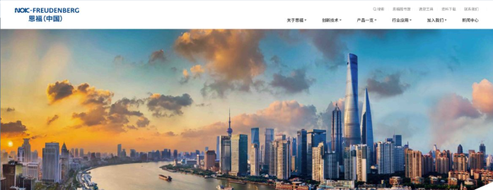 《恩福-中国》网站建设-买球体育平台品牌数字化